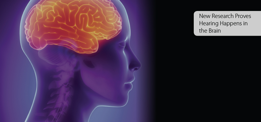 New Research Proves Hearing Happens in the Brain